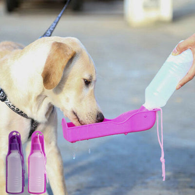 Portable Plastic Feeding Bowl
