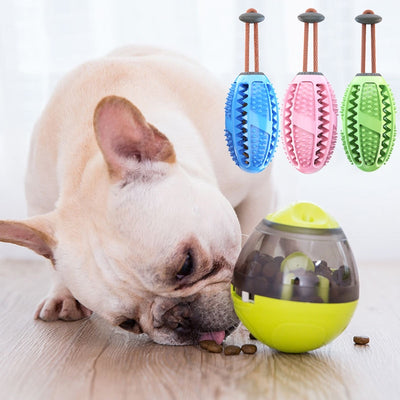 Food Ball Tooth Brush Chew Toy