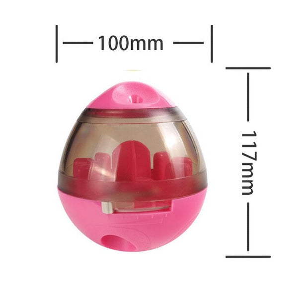 Food Ball Tooth Brush Chew Toy