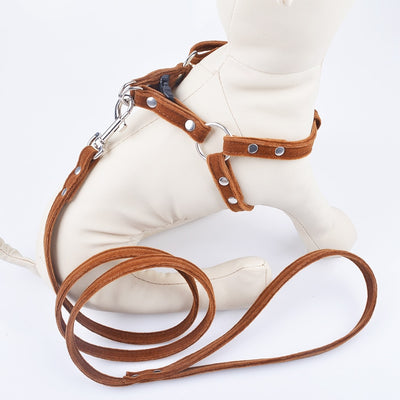 Dog Harness Leash Set
