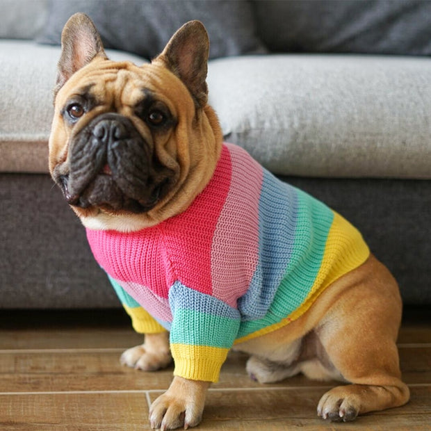 Rainbow Sweater for Dogs