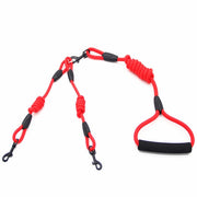 2 In 1 Dog Leash