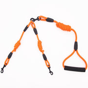 2 In 1 Dog Leash