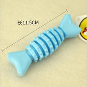 Vocal Molar Rubber Toy