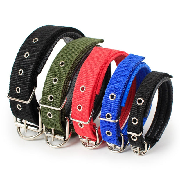 Soft Leather Lined Dog Foam Collar