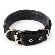Soft Leather Lined Dog Foam Collar