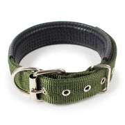 Soft Leather Lined Dog Foam Collar