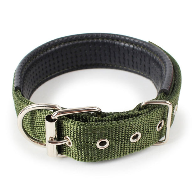 Soft Leather Lined Dog Foam Collar