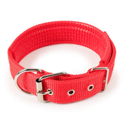 Soft Leather Lined Dog Foam Collar