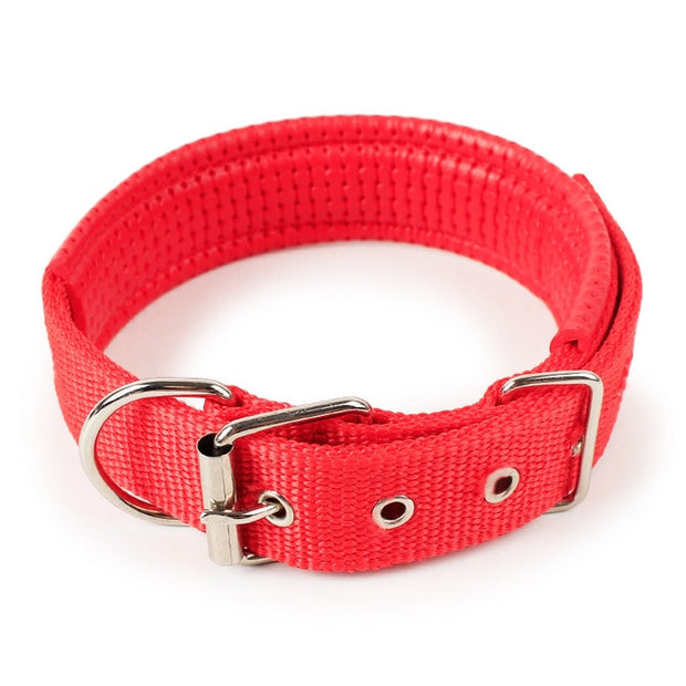 Soft Leather Lined Dog Foam Collar
