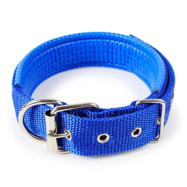 Soft Leather Lined Dog Foam Collar