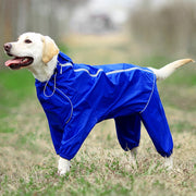 Dog Raincoat