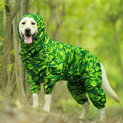 Dog Raincoat