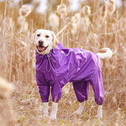 Dog Raincoat