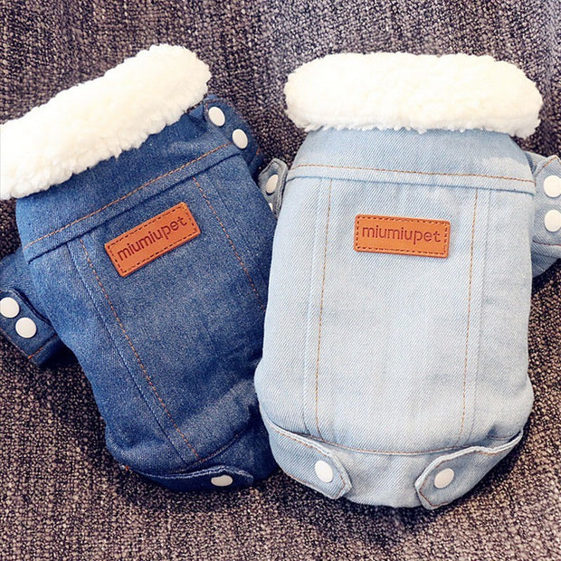 Luxury Winter Puppy Jacket