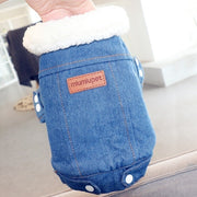Luxury Winter Puppy Jacket