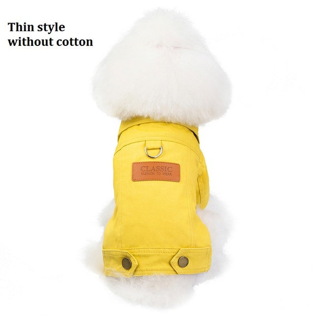 Luxury Winter Puppy Jacket