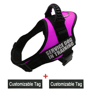 Reflective Adjustable Dog Harness