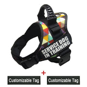 Reflective Adjustable Dog Harness