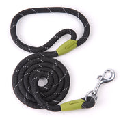 Nylon Dog Leash