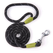 Nylon Dog Leash