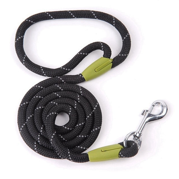Nylon Dog Leash