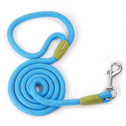 Nylon Dog Leash