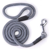 Nylon Dog Leash