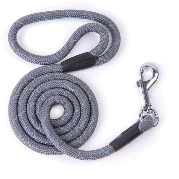 Nylon Dog Leash