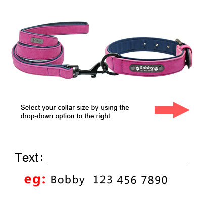 Dog Tag Collar And Leash Set
