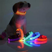 Nylon LED Dog Collar