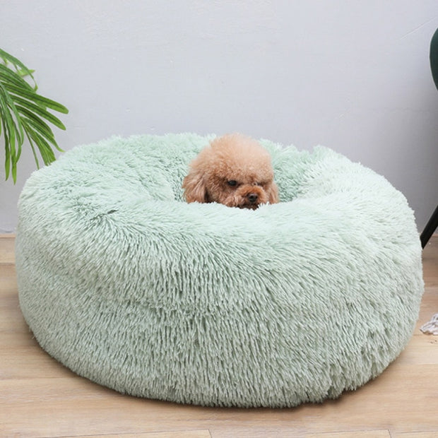 Luxury Soft Plush Dog Bed