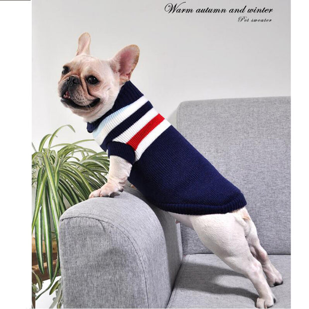 Dog Winter Jacket