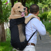 Dog Shoulder Traveler Backpack